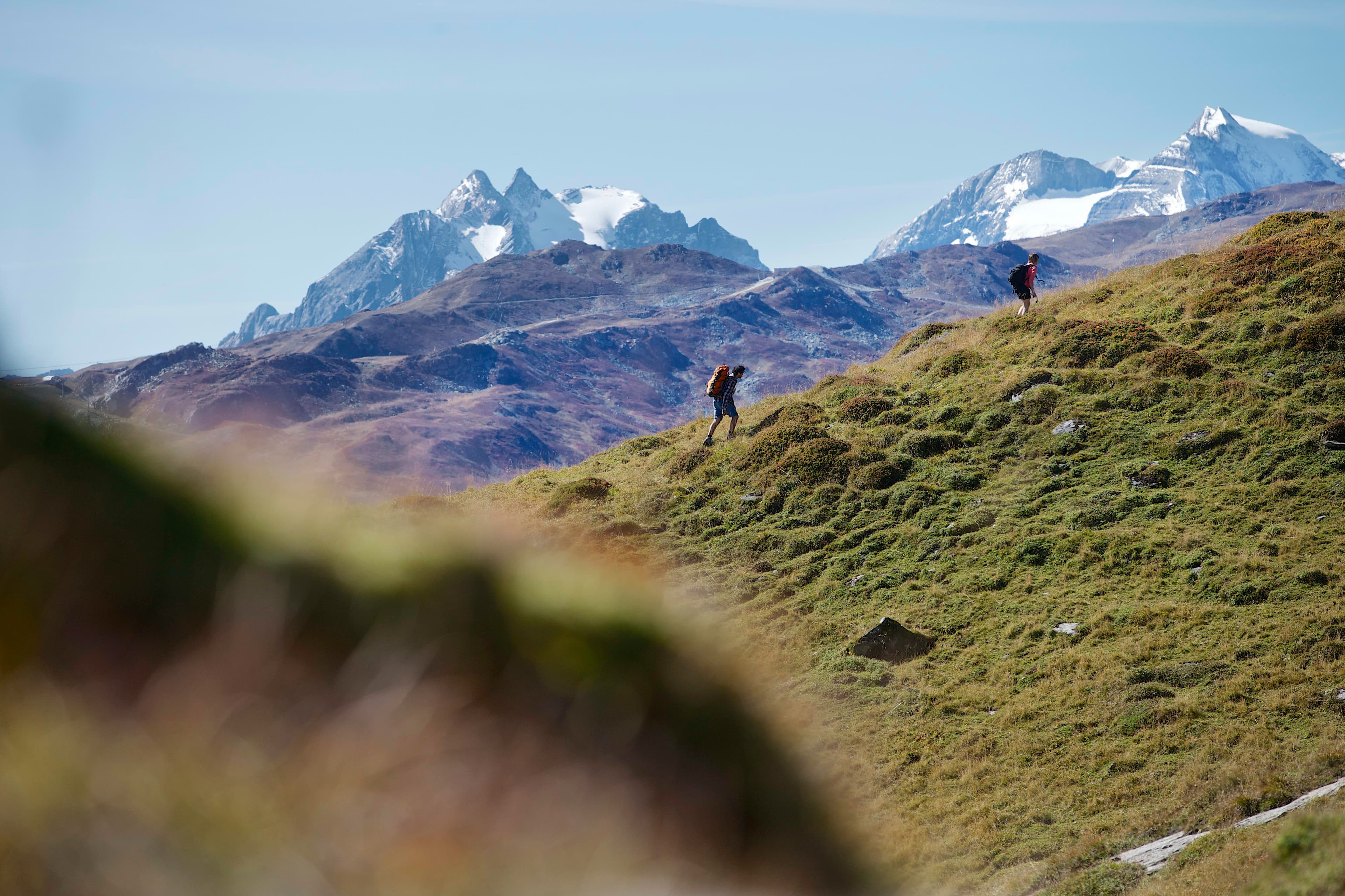 Lenzer Horn 2906 m ü.M.