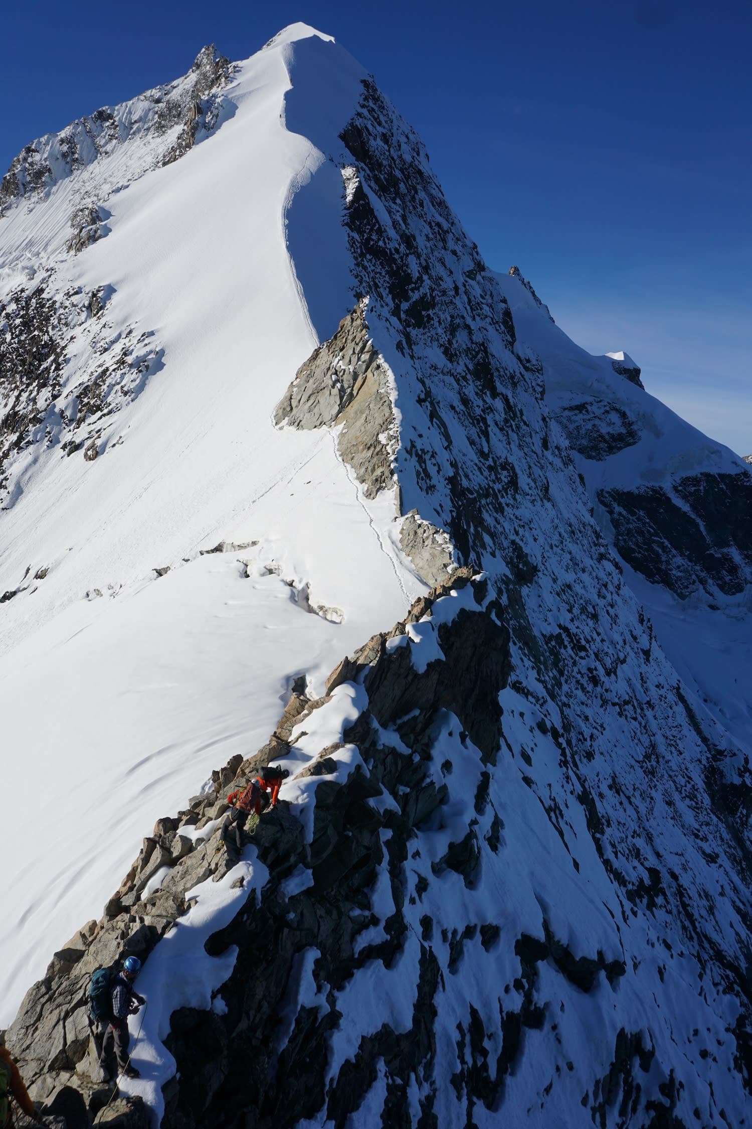 Piz Bernina Biancograt 4049 m ü.M. und Piz Palü 3900 m ü.M.